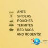 Pest Control Animated Video