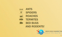 Pest Control Animated Video