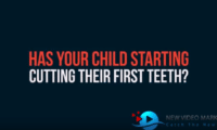 dental children video template