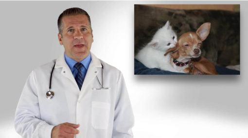 Veterinary Care Commercial